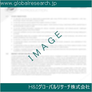 グローバルリサーチ調査資料のイメージ